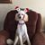 Diane Hartman's profile image