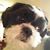 Wanda Mockry's profile image
