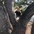 Heidi Anderson's profile image
