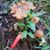 Marsha Woesner's profile image