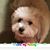 Sue Homs Young's profile image
