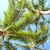 Sunny Sanoff's profile image