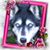 Karen Volk Podlas's profile image