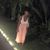 Shamira Squirrel's profile image