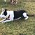 Leah Asch's profile image