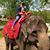 Matt Colby's profile image