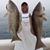 Gage Brady's profile image