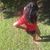 Nyrashia Farmer's profile image