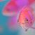 SHelly Maloney's profile image