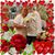 Ginny Waskey Eisenstein's profile image