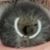 Daniel van Hoy's profile image