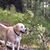Ellen Fuller's profile image
