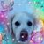 Helene Hawn's profile image