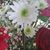 Rena Copple Hunley's profile image