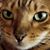 Tammy McDaniel's profile image