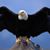Janet Reiter's profile image