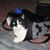 Dawn Powers Milam's profile image