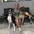 Nicole Potochar's profile image