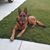 Rochelle Sheldon's profile image