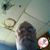 Richard Olvera's profile image