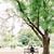 Huy Pham's profile image