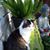Kat Roberge's profile image