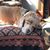 Vivian K Powell's profile image