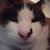 Douglas Shinn's profile image
