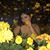 Cassie Guerrero's profile image