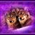 Cindy Johnson's profile image