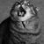 Sonja Cline Miller's profile image