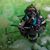 Sandra Clopp's profile image