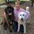 Mary Carlson Larson's profile image