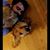 Jordan Scott Cook's profile image