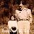 Debbie Hartman's profile image