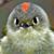 Art Riggens's profile image