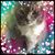 Barb Preston's profile image