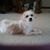 Linda Schneider's profile image