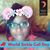 Tracie Lynette Gilliam's profile image
