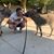 Anthony Chase's profile image