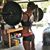 Ashley Taylor's profile image