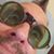 Dan West's profile image