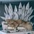 Karen Rich's profile image