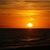 Jose Luis Garcia's profile image