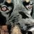 Norleen Calos-Briley's profile image