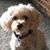 Cyndy Bailey Englehart's profile image