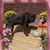 Larry Blankenbaker's profile image