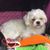 Kevin Jodi Lewis's profile image