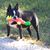Danna Wood's profile image