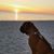 Christina Snyder's profile image